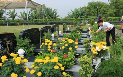 Hoa cúc vàng trên mộ